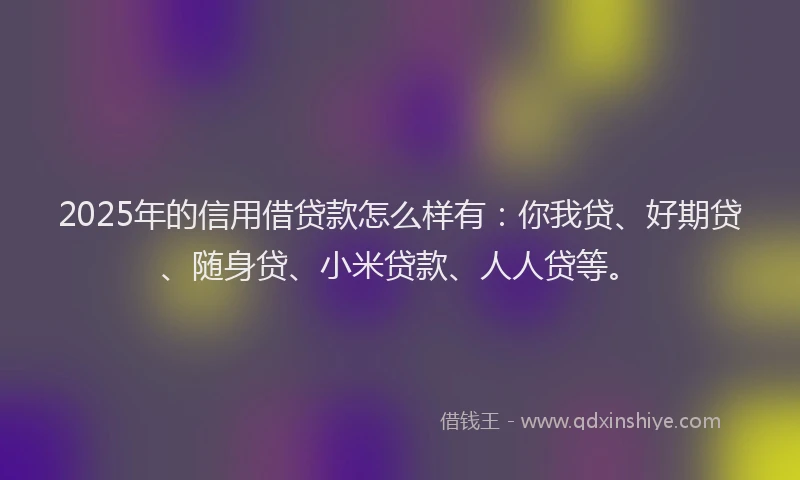 2025年的信用借贷款怎么样有：你我贷、好期贷、随身贷、小米贷款、人人贷等。