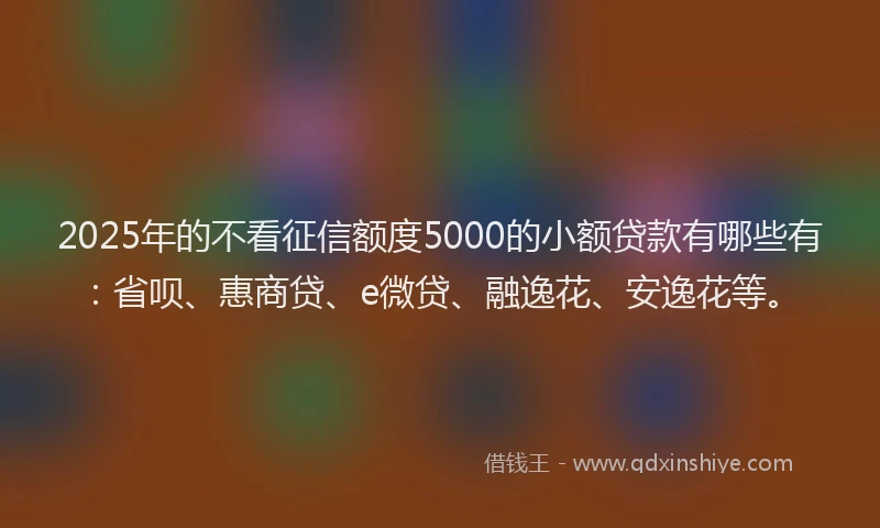 2025年的不看征信额度5000的小额贷款有哪些有：省呗、惠商贷、e微贷、融逸花、安逸花等。