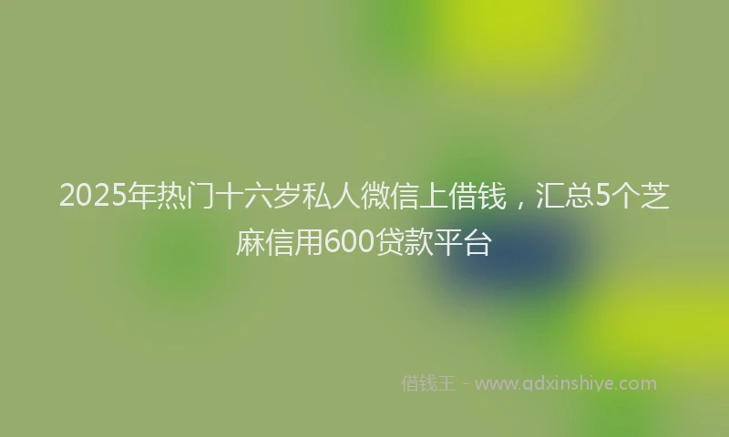 2025年热门十六岁私人微信上借钱，汇总5个芝麻信用600贷款平台