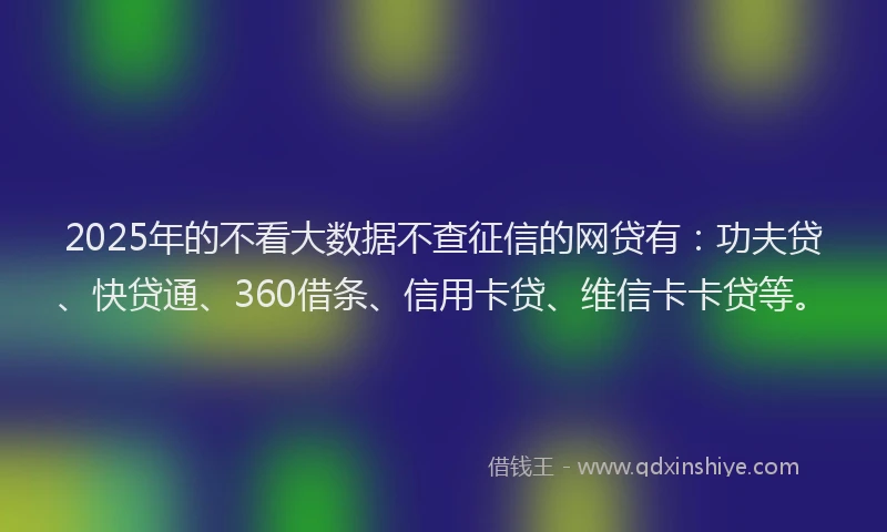 2025年的不看大数据不查征信的网贷有：功夫贷、快贷通、360借条、信用卡贷、维信卡卡贷等。