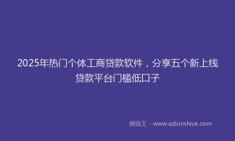 2025年热门个体工商贷款软件，分享五个新上线贷款平台门槛低口子