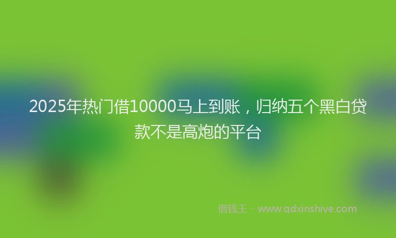 2025年热门借10000马上到账，归纳五个黑白贷款不是高炮的平台