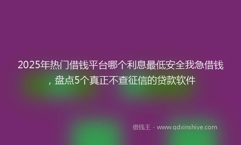 2025年热门借钱平台哪个利息最低安全我急借钱，盘点5个真正不查征信的贷款软件