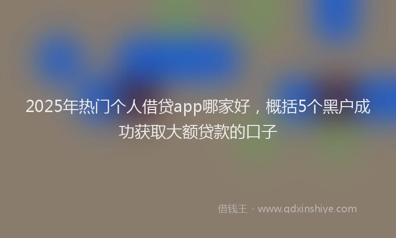 2025年热门个人借贷app哪家好，概括5个黑户成功获取大额贷款的口子