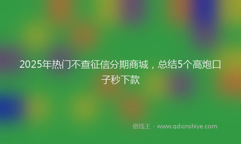 2025年热门不查征信分期商城，总结5个高炮口子秒下款