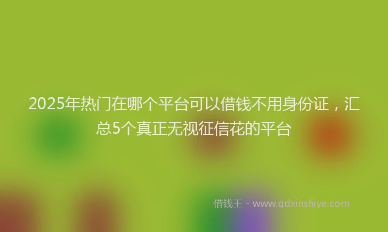 2025年热门在哪个平台可以借钱不用身份证，汇总5个真正无视征信花的平台