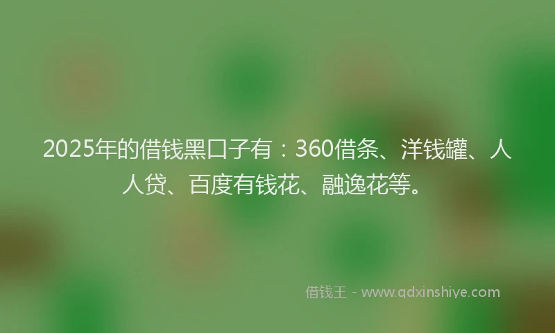 2025年的借钱黑口子有：360借条、洋钱罐、人人贷、百度有钱花、融逸花等。