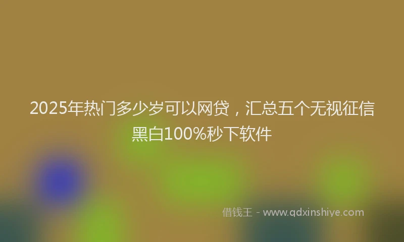 2025年热门多少岁可以网贷，汇总五个无视征信黑白100%秒下软件