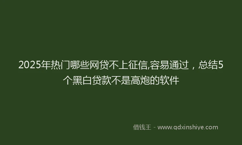 2025年热门哪些网贷不上征信,容易通过，总结5个黑白贷款不是高炮的软件