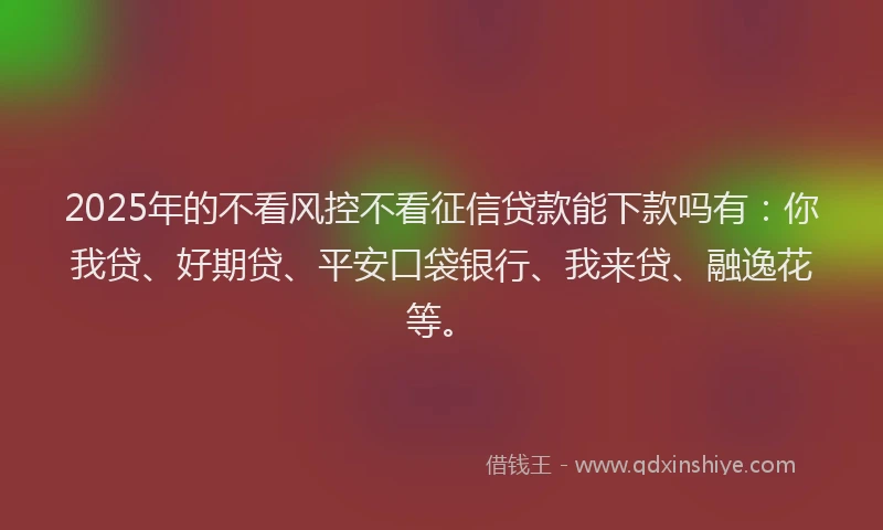 2025年的不看风控不看征信贷款能下款吗有：你我贷、好期贷、平安口袋银行、我来贷、融逸花等。