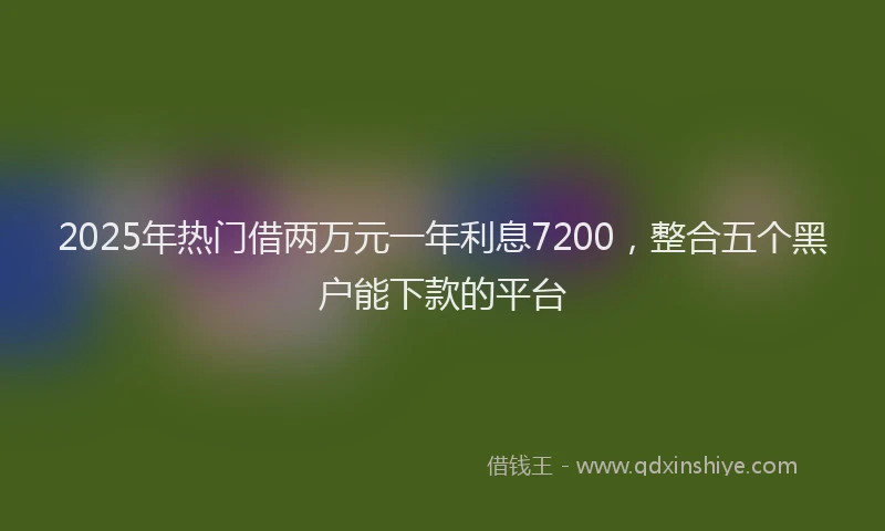 2025年热门借两万元一年利息7200，整合五个黑户能下款的平台