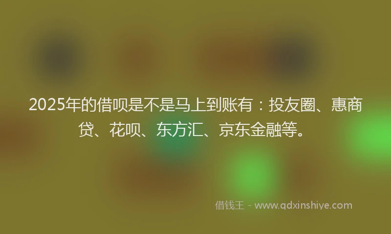 2025年的借呗是不是马上到账有：投友圈、惠商贷、花呗、东方汇、京东金融等。