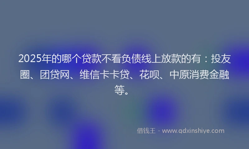 2025年的哪个贷款不看负债线上放款的有：投友圈、团贷网、维信卡卡贷、花呗、中原消费金融等。