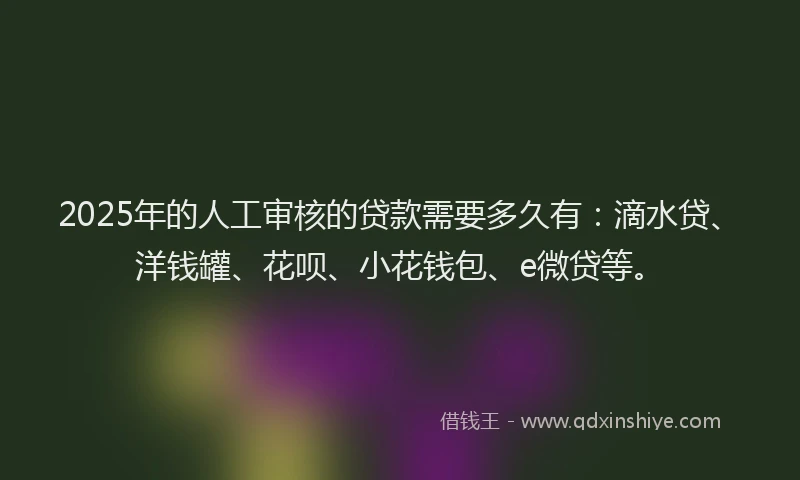 2025年的人工审核的贷款需要多久有：滴水贷、洋钱罐、花呗、小花钱包、e微贷等。