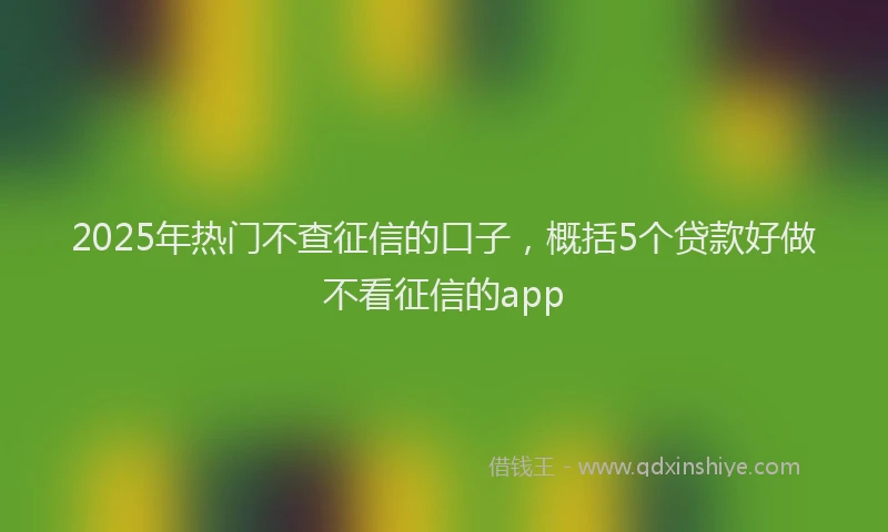 2025年热门不查征信的口子，概括5个贷款好做不看征信的app
