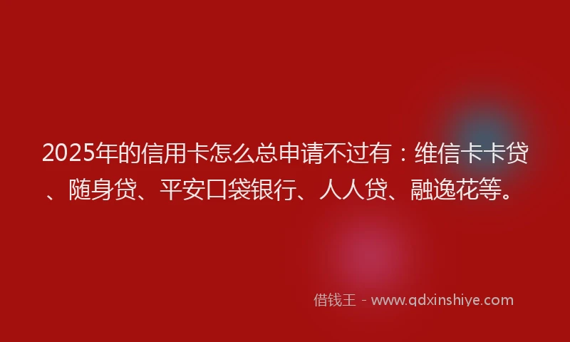 2025年的信用卡怎么总申请不过有：维信卡卡贷、随身贷、平安口袋银行、人人贷、融逸花等。