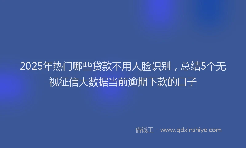 2025年热门哪些贷款不用人脸识别，总结5个无视征信大数据当前逾期下款的口子
