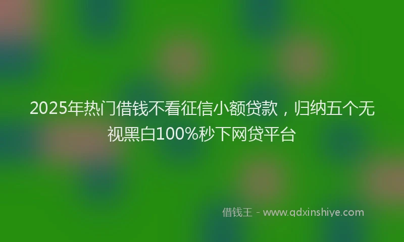 2025年热门借钱不看征信小额贷款，归纳五个无视黑白100%秒下网贷平台