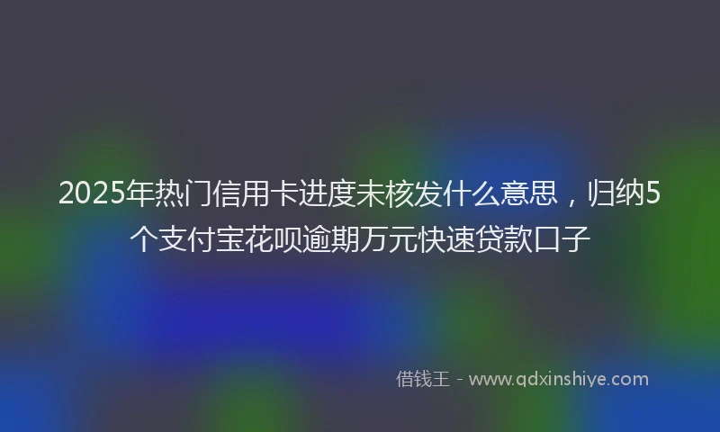 2025年热门信用卡进度未核发什么意思，归纳5个支付宝花呗逾期万元快速贷款口子