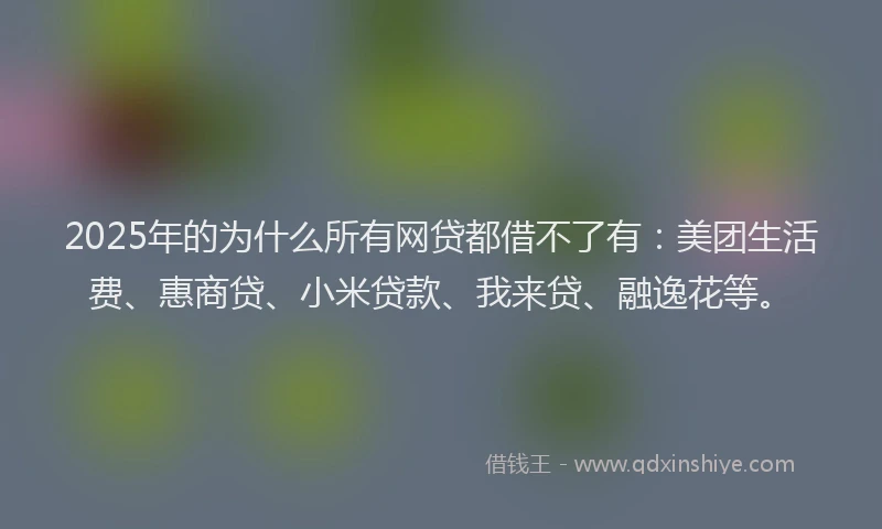2025年的为什么所有网贷都借不了有：美团生活费、惠商贷、小米贷款、我来贷、融逸花等。