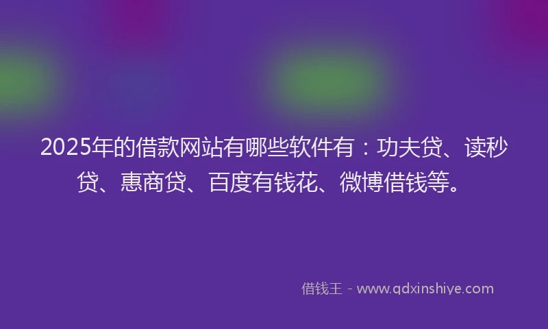 2025年的借款网站有哪些软件有：功夫贷、读秒贷、惠商贷、百度有钱花、微博借钱等。
