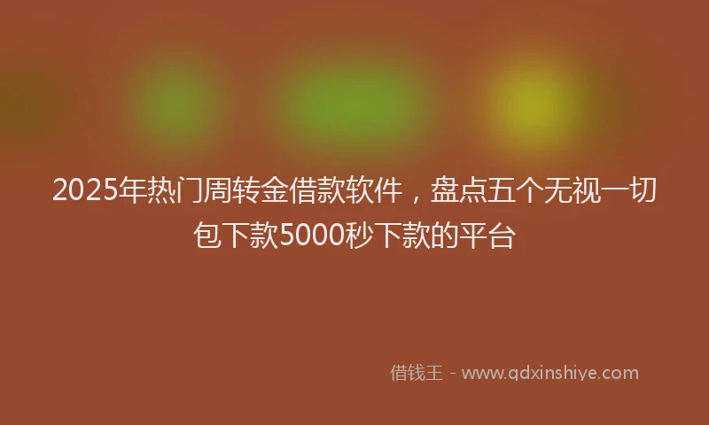 2025年热门周转金借款软件，盘点五个无视一切包下款5000秒下款的平台