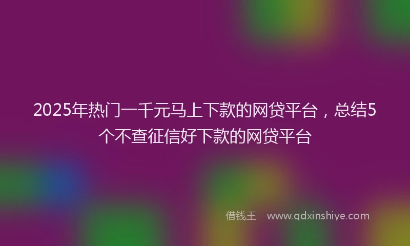 2025年热门一千元马上下款的网贷平台，总结5个不查征信好下款的网贷平台
