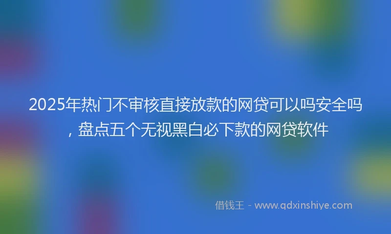 2025年热门不审核直接放款的网贷可以吗安全吗，盘点五个无视黑白必下款的网贷软件