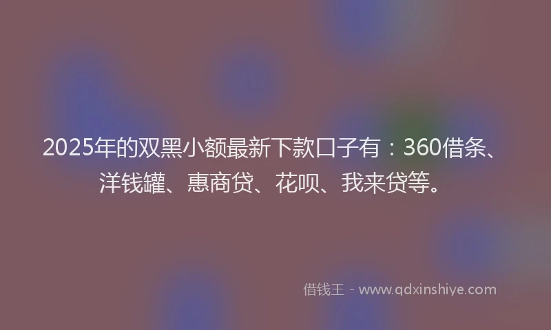 2025年的双黑小额最新下款口子有：360借条、洋钱罐、惠商贷、花呗、我来贷等。