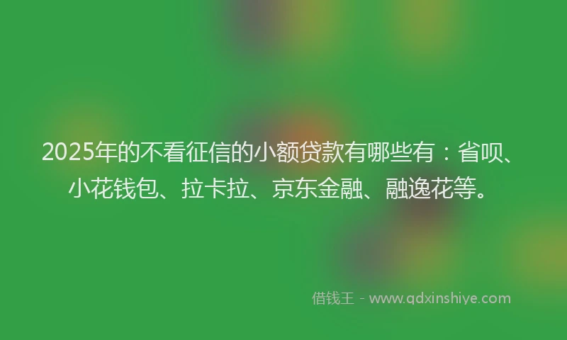 2025年的不看征信的小额贷款有哪些有：省呗、小花钱包、拉卡拉、京东金融、融逸花等。