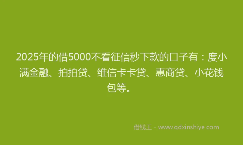 2025年的借5000不看征信秒下款的口子有：度小满金融、拍拍贷、维信卡卡贷、惠商贷、小花钱包等。