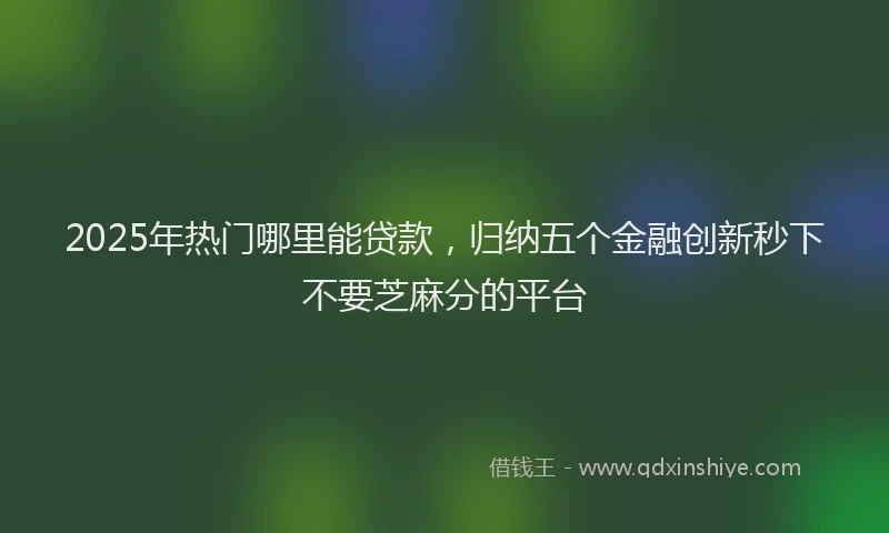 2025年热门哪里能贷款，归纳五个金融创新秒下不要芝麻分的平台