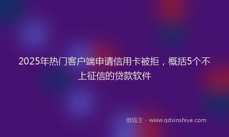 2025年热门客户端申请信用卡被拒，概括5个不上征信的贷款软件