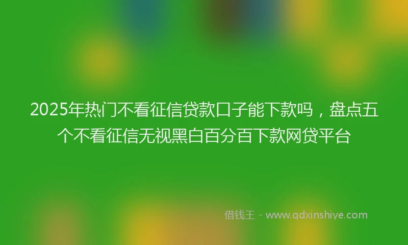 2025年热门不看征信贷款口子能下款吗，盘点五个不看征信无视黑白百分百下款网贷平台