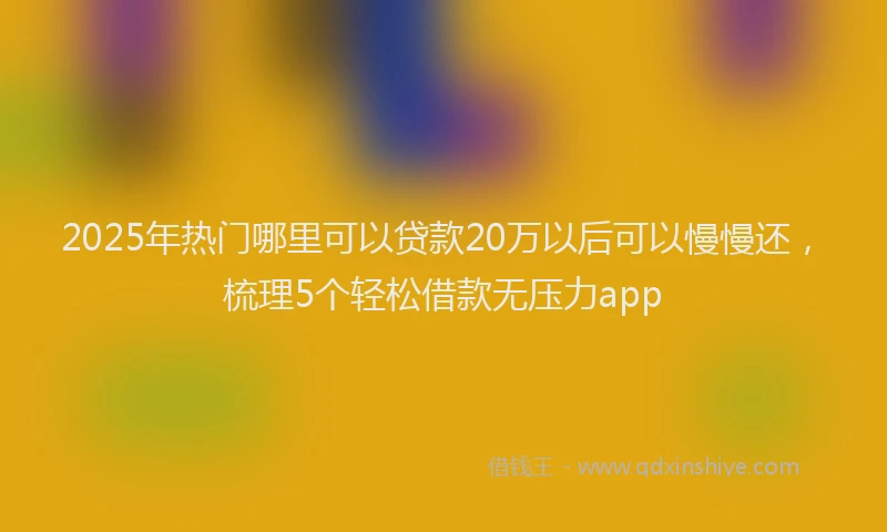2025年热门哪里可以贷款20万以后可以慢慢还，梳理5个轻松借款无压力app