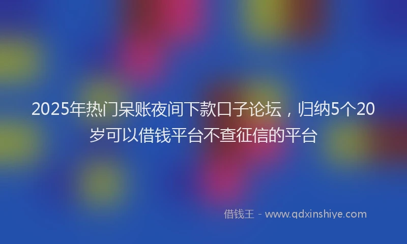 2025年热门呆账夜间下款口子论坛，归纳5个20岁可以借钱平台不查征信的平台
