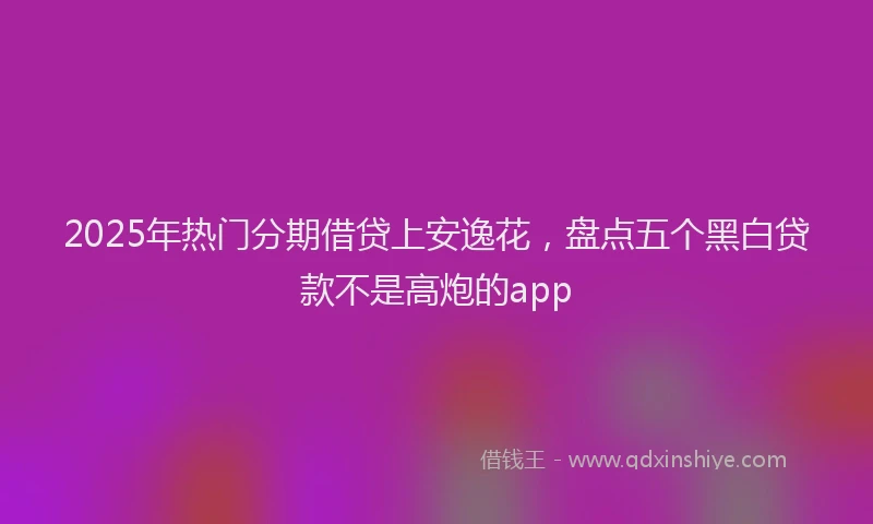 2025年热门分期借贷上安逸花，盘点五个黑白贷款不是高炮的app