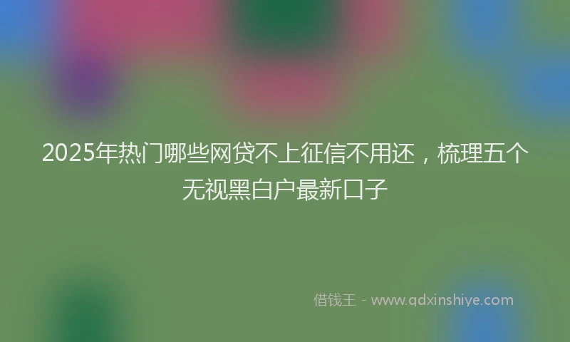 2025年热门哪些网贷不上征信不用还，梳理五个无视黑白户最新口子