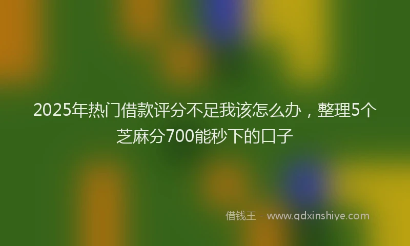 2025年热门借款评分不足我该怎么办，整理5个芝麻分700能秒下的口子