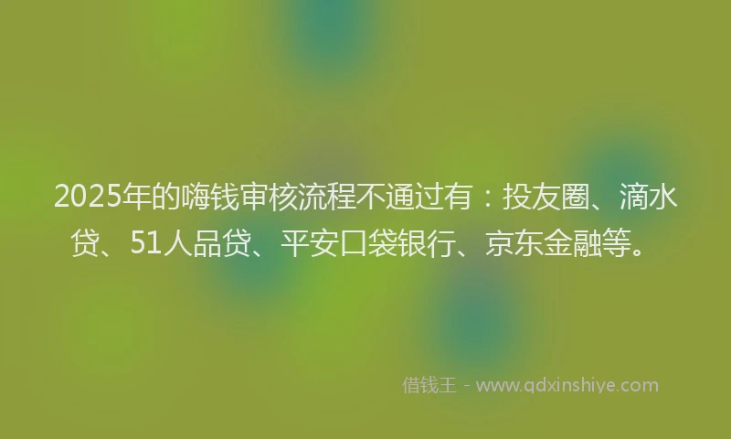 2025年的嗨钱审核流程不通过有：投友圈、滴水贷、51人品贷、平安口袋银行、京东金融等。