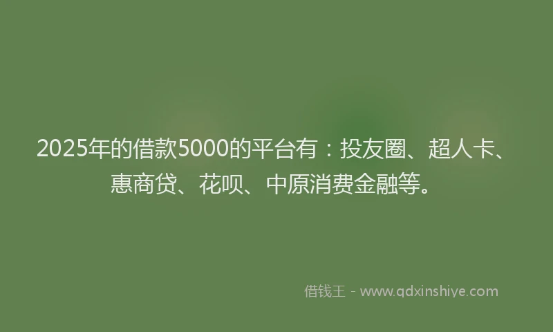 2025年的借款5000的平台有：投友圈、超人卡、惠商贷、花呗、中原消费金融等。