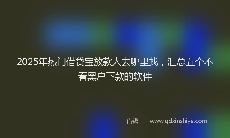 2025年热门借贷宝放款人去哪里找，汇总五个不看黑户下款的软件
