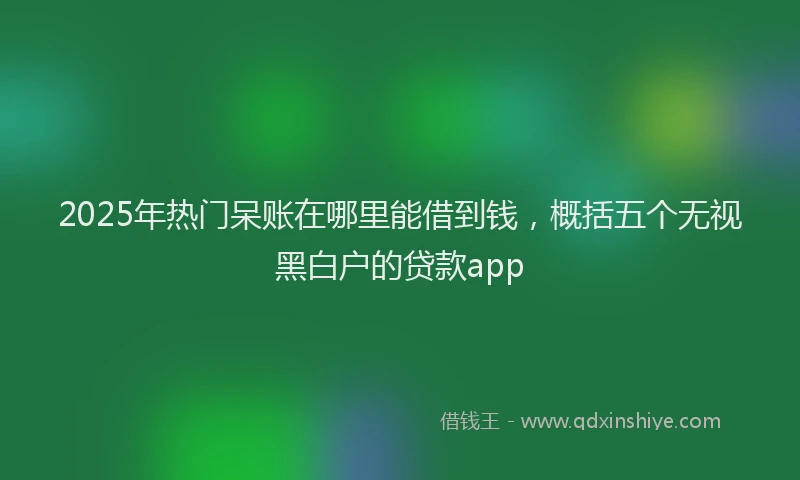 2025年热门呆账在哪里能借到钱，概括五个无视黑白户的贷款app
