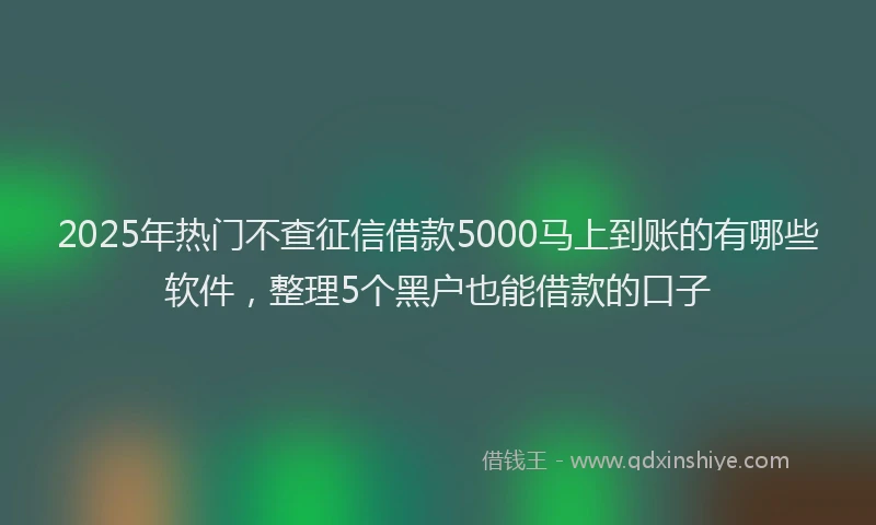 2025年热门不查征信借款5000马上到账的有哪些软件，整理5个黑户也能借款的口子