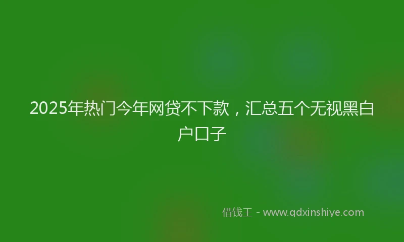 2025年热门今年网贷不下款，汇总五个无视黑白户口子