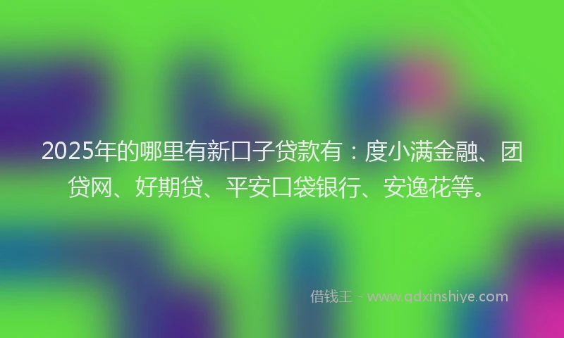 2025年的哪里有新口子贷款有：度小满金融、团贷网、好期贷、平安口袋银行、安逸花等。