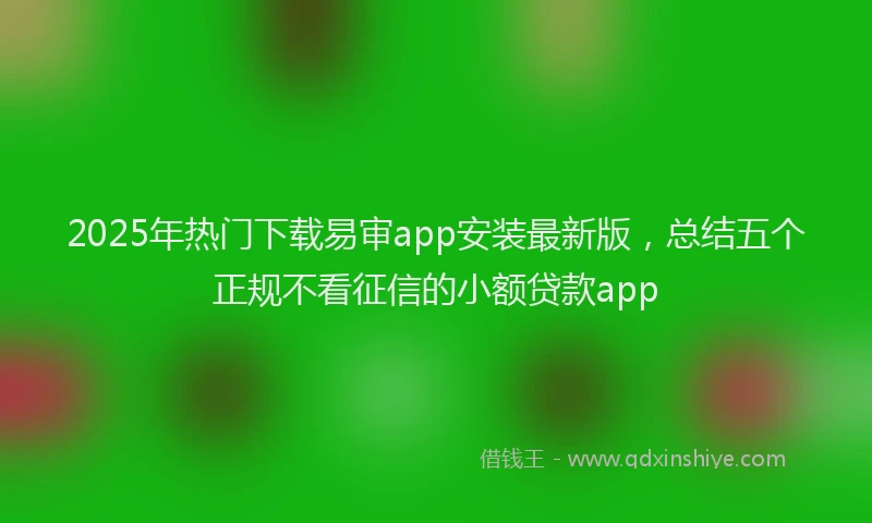 2025年热门下载易审app安装最新版，总结五个正规不看征信的小额贷款app