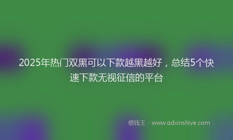 2025年热门双黑可以下款越黑越好，总结5个快速下款无视征信的平台