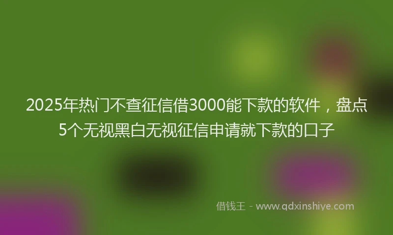 2025年热门不查征信借3000能下款的软件，盘点5个无视黑白无视征信申请就下款的口子