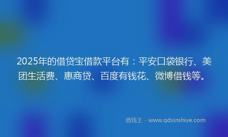2025年的借贷宝借款平台有：平安口袋银行、美团生活费、惠商贷、百度有钱花、微博借钱等。